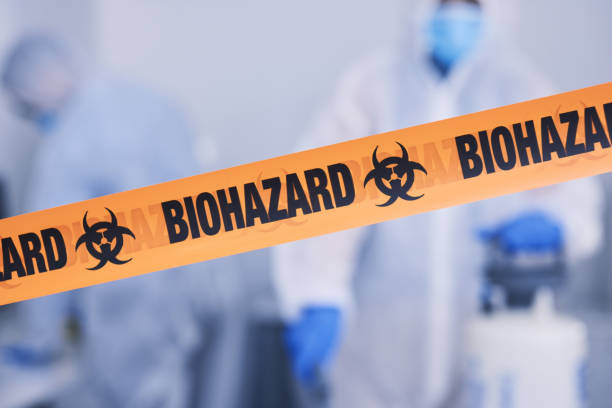 Professional Odor Removal technician working in Monroeville, OH
